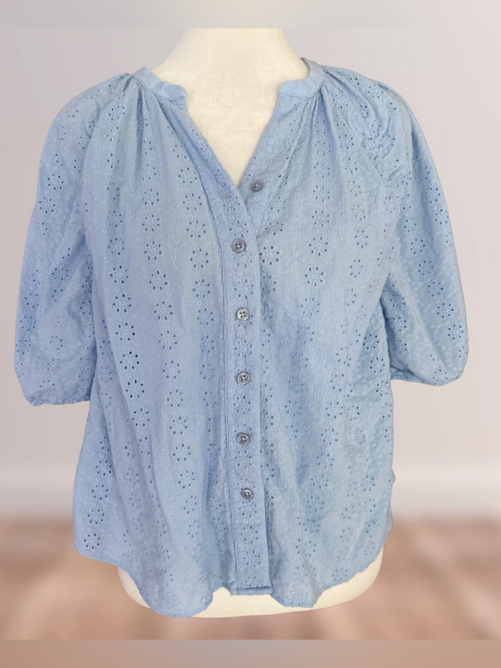 The Shirt by Rochelle Behrens Eyelet Blouse in Pale Blue